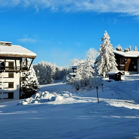 아파트 Le Flocon Du Mont Darbois Classe 3 Etoiles