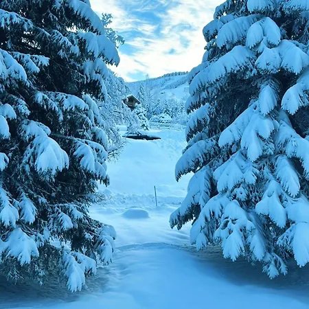 Le Flocon Du Mont Darbois Classe 3 Etoiles 아파트