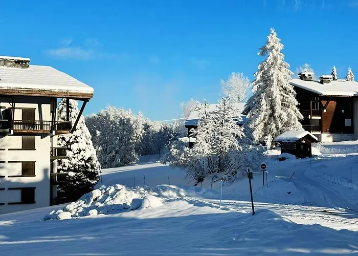 Apartment Le Flocon Du Mont Darbois Classe 3 Etoiles