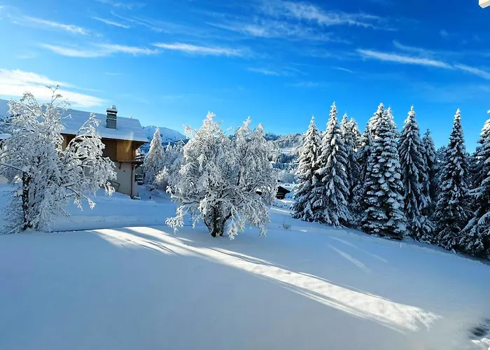 Le Flocon Du Mont Darbois Classe 3 Etoiles Megève