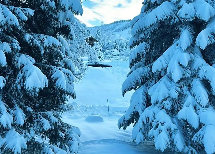 Le Flocon Du Mont Darbois Classe 3 Etoiles Apartment