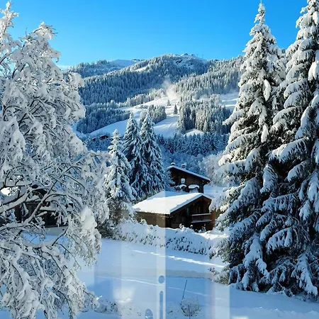 Le Flocon Du Mont Darbois Classé 3 étoiles Appartement