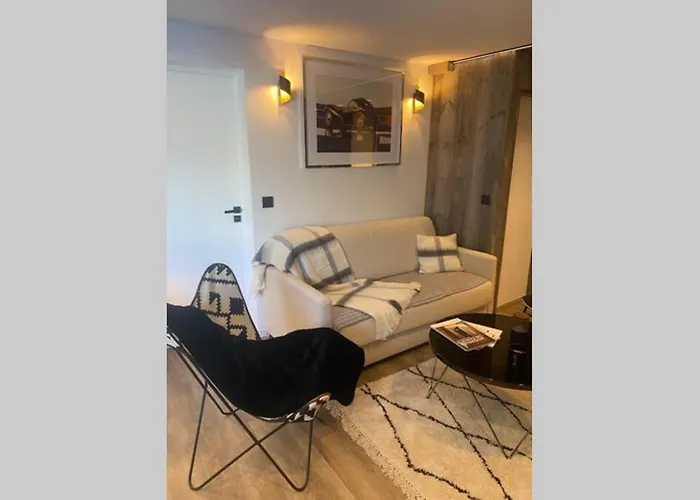 Le Flocon Du Mont Darbois Classe 3 Etoiles *