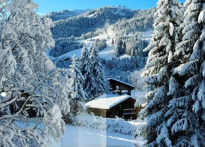 Le Flocon Du Mont Darbois Classe 3 Etoiles Appartement