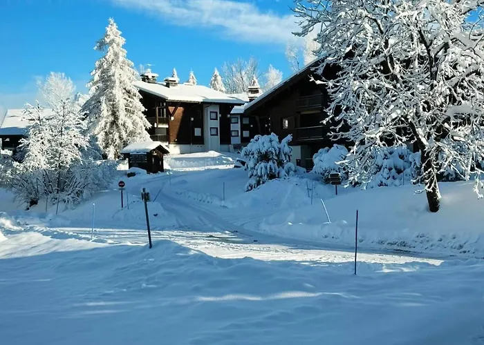 Appartement Le Flocon Du Mont Darbois Classe 3 Etoiles *